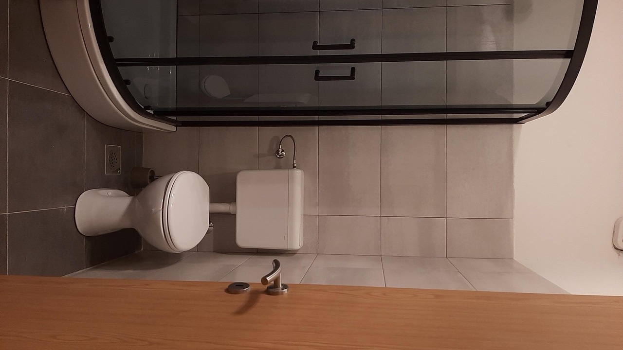 Photo of Bathroom in Mirce