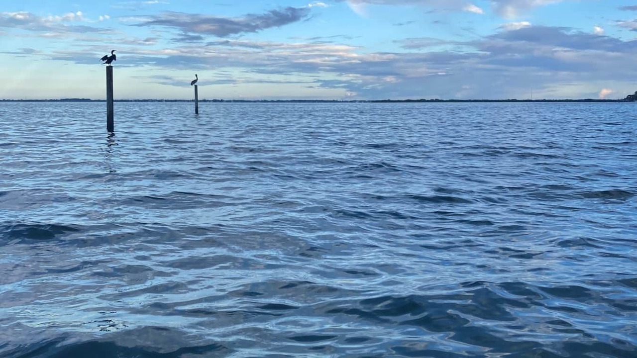 Photo of Others in Crescent Beach