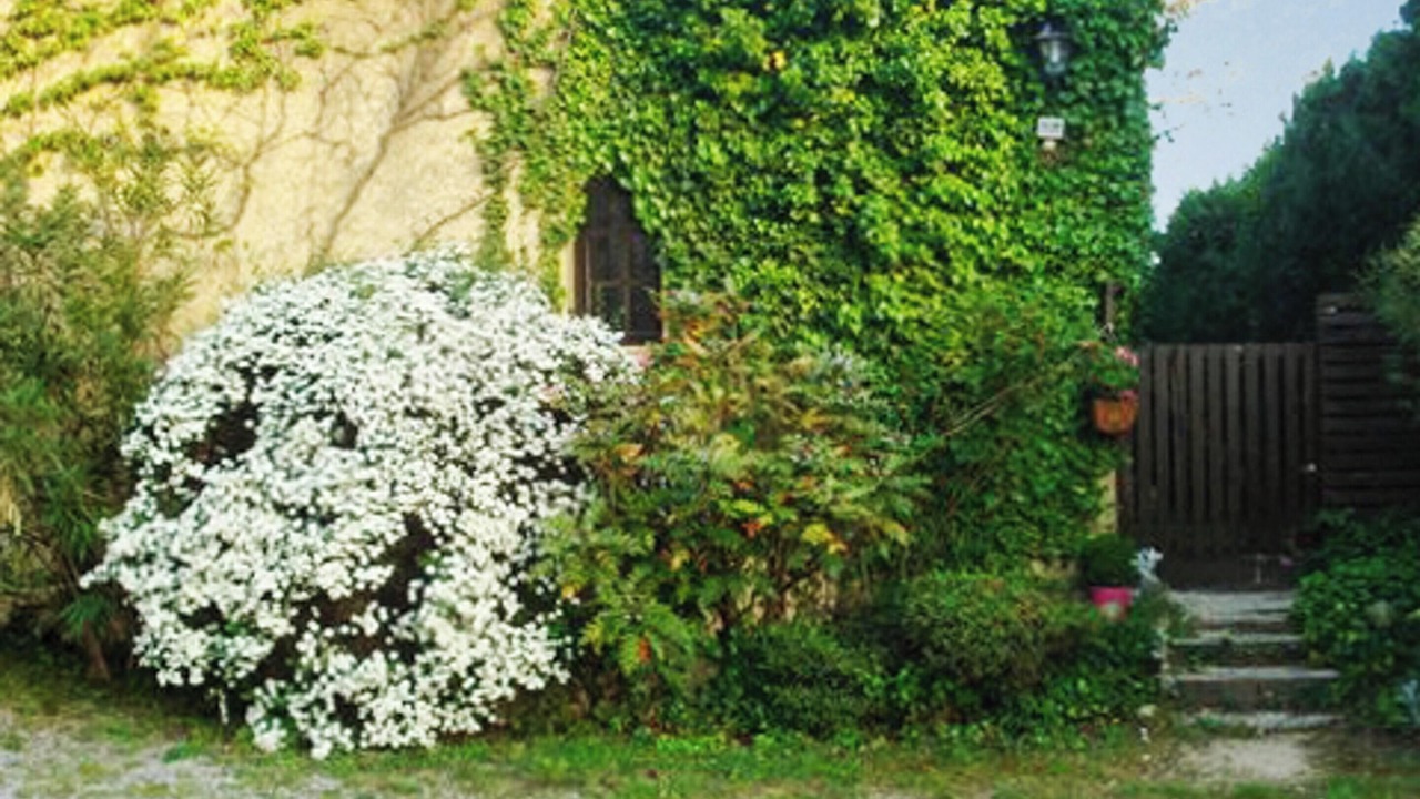 Photo of Outdoor in Barbentane