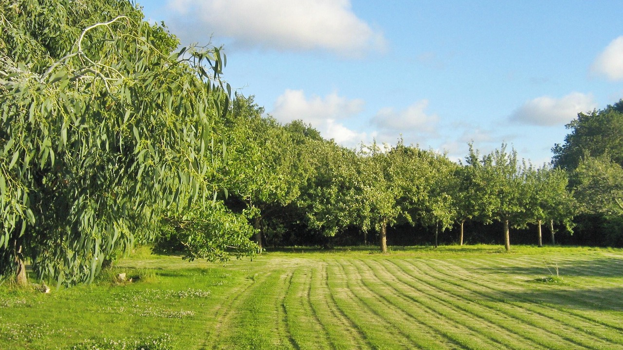 Photo of Outdoor in Tredrez-Locquemeau
