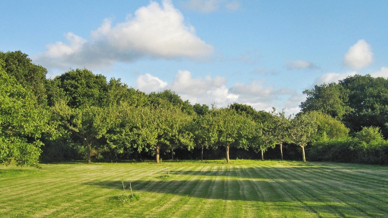 Photo of Outdoor in Tredrez-Locquemeau