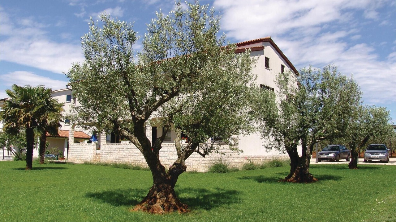 Photo of Others in Stancija Vodopija