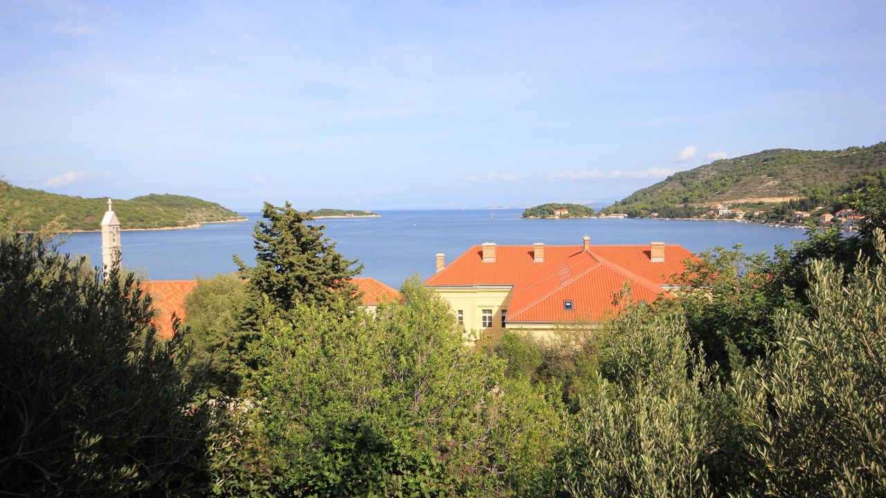Photo of Others in Vis