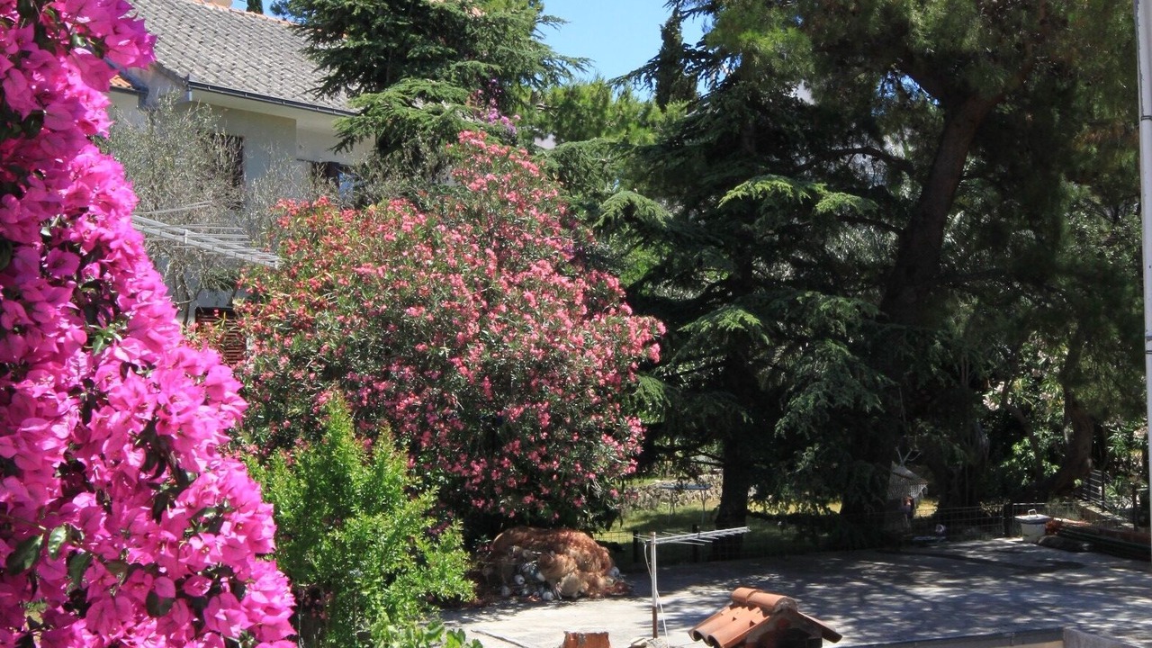 Photo of Outdoor in Promajna