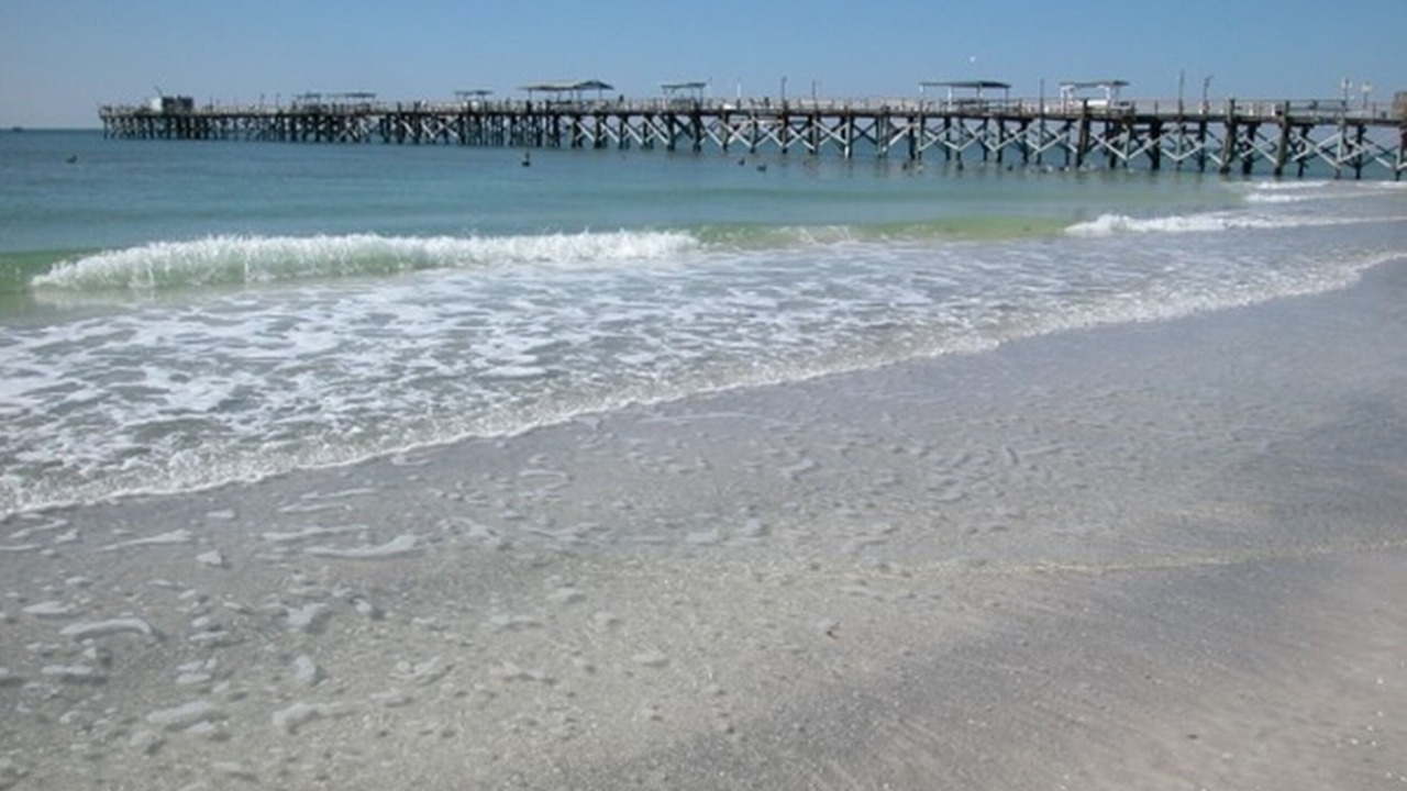Photo of Others in Madeira Beach