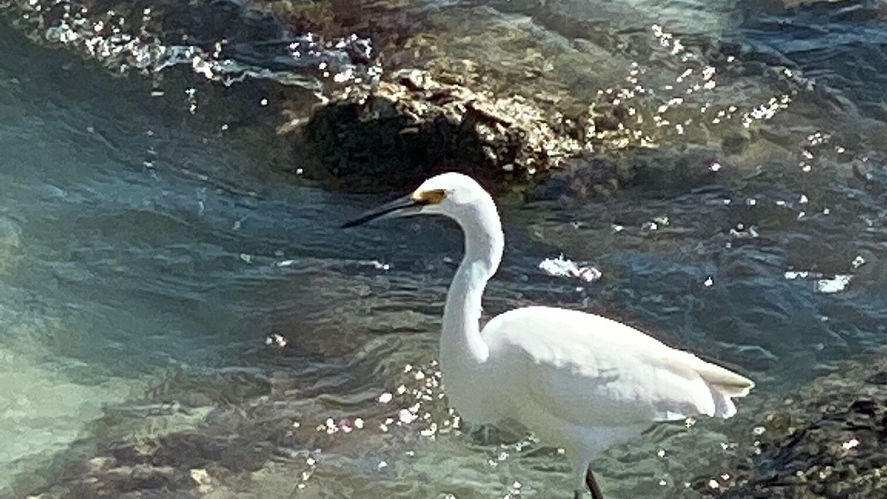 Photo of Others in Madeira Beach