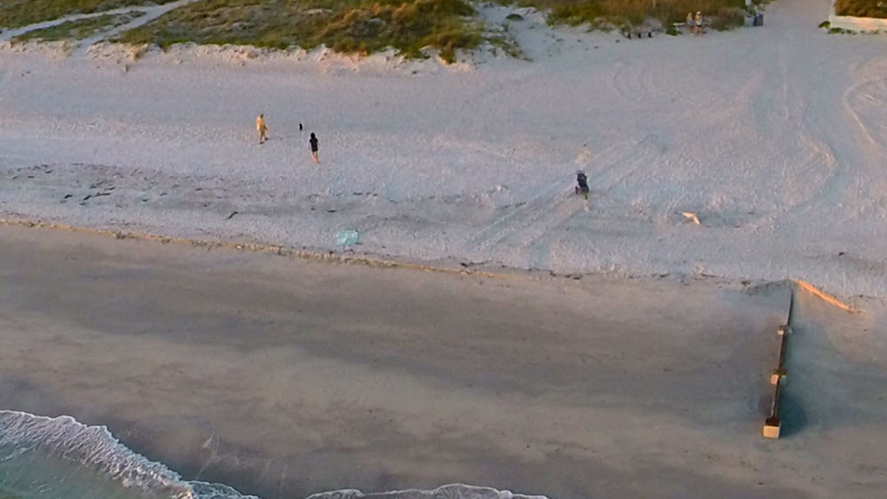 Photo of Others in Madeira Beach
