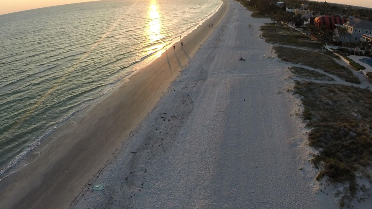 Photo of Others in Madeira Beach