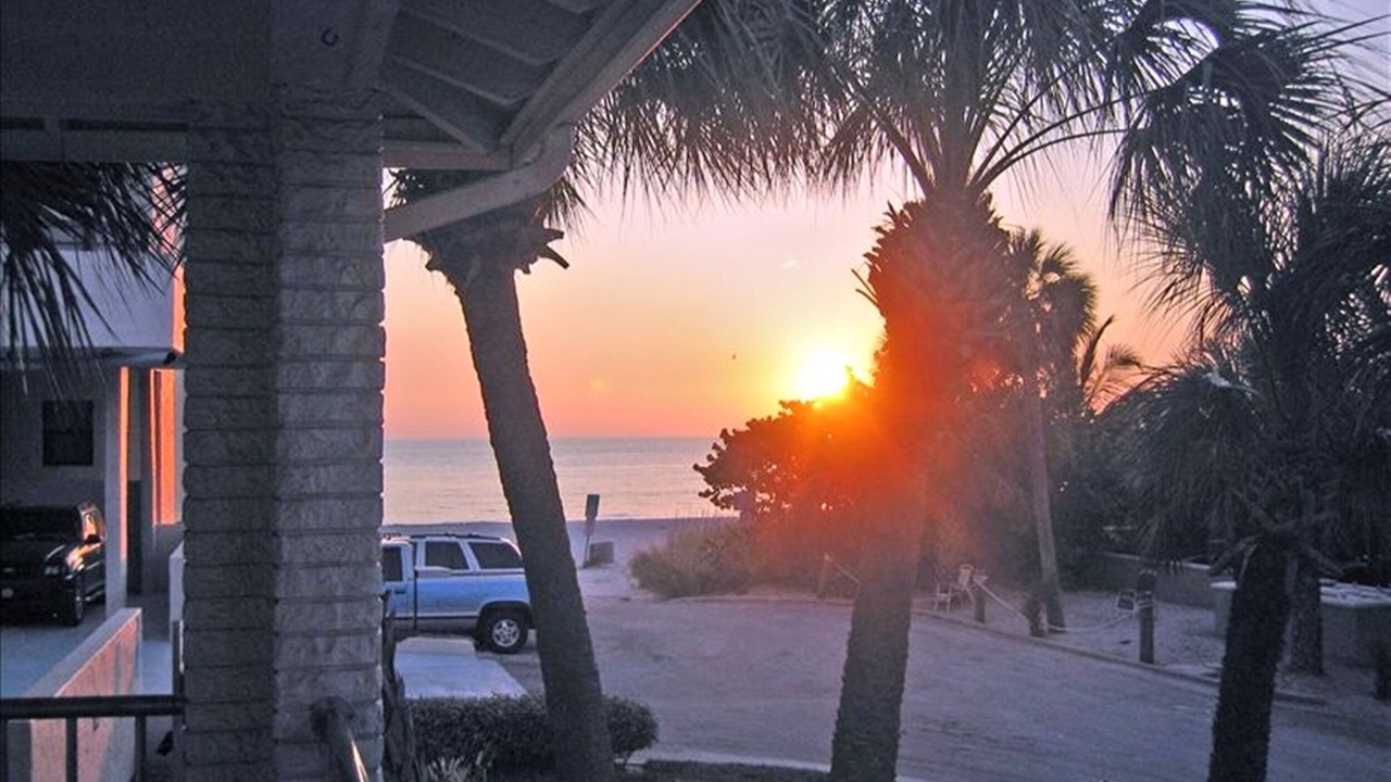 Photo of Outdoor in Madeira Beach