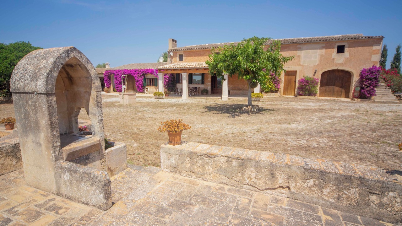 Photo of Outdoor in Felanitx