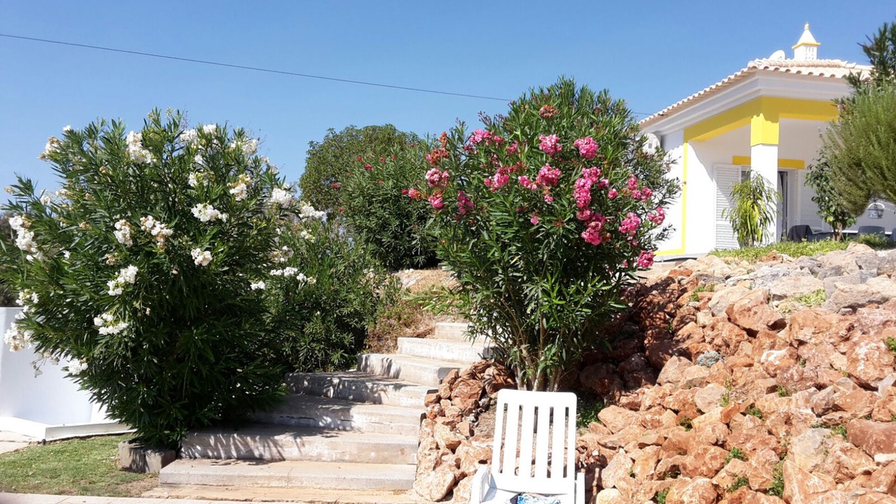 Photo of Outdoor in Monte Raposo