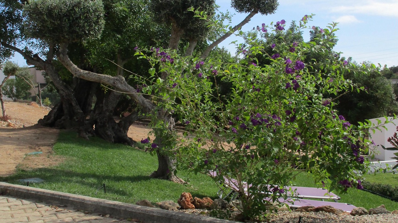 Photo of Outdoor in Monte Raposo