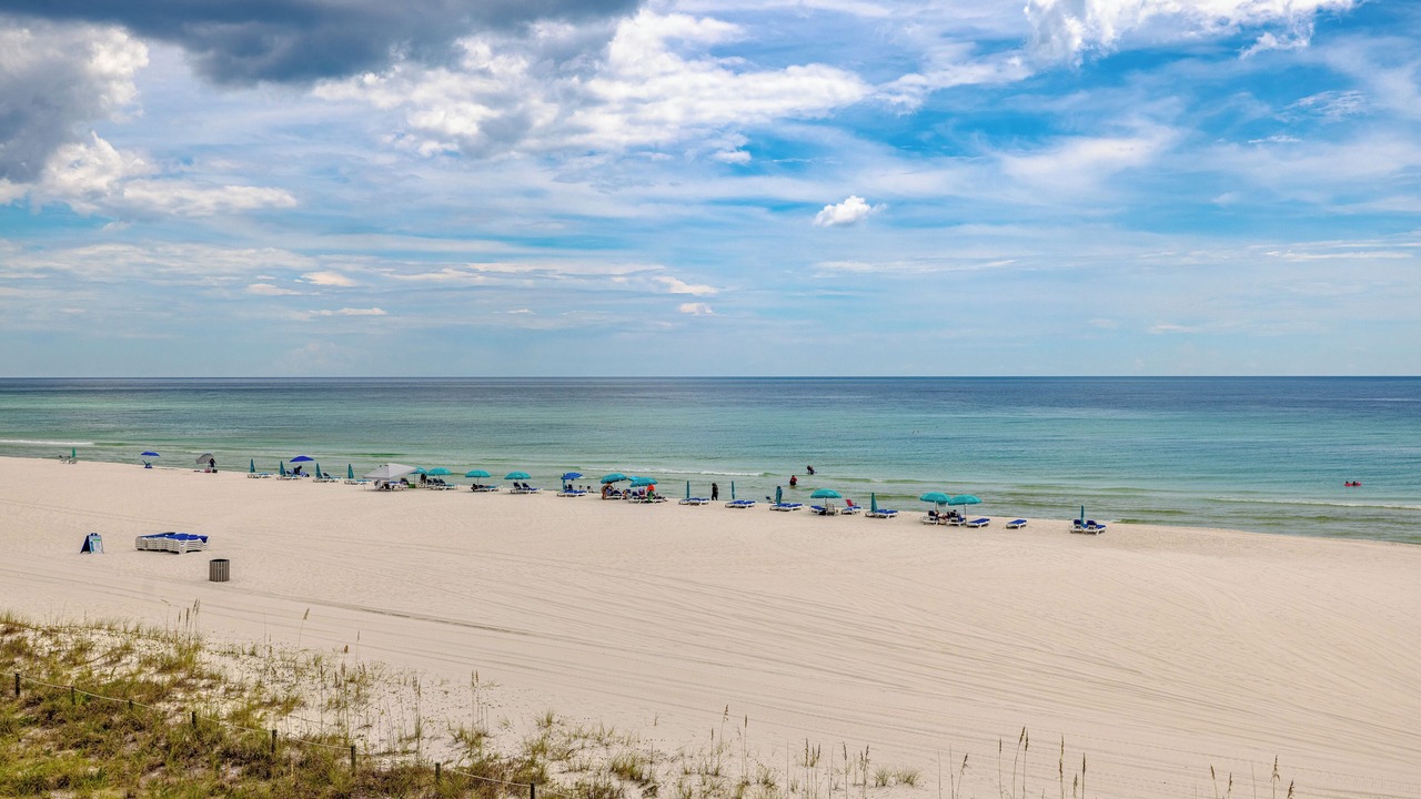 Photo of Others in West Panama City Beach