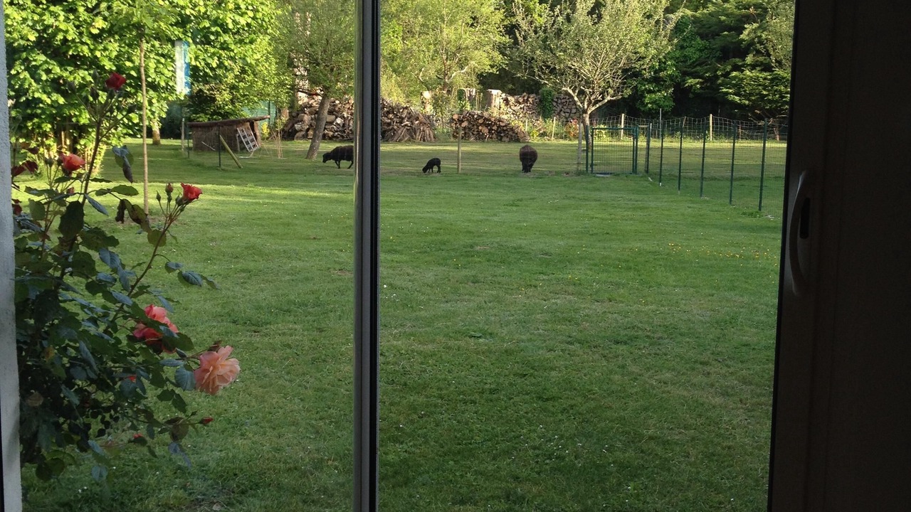 Photo of Others in Saint-Lunaire