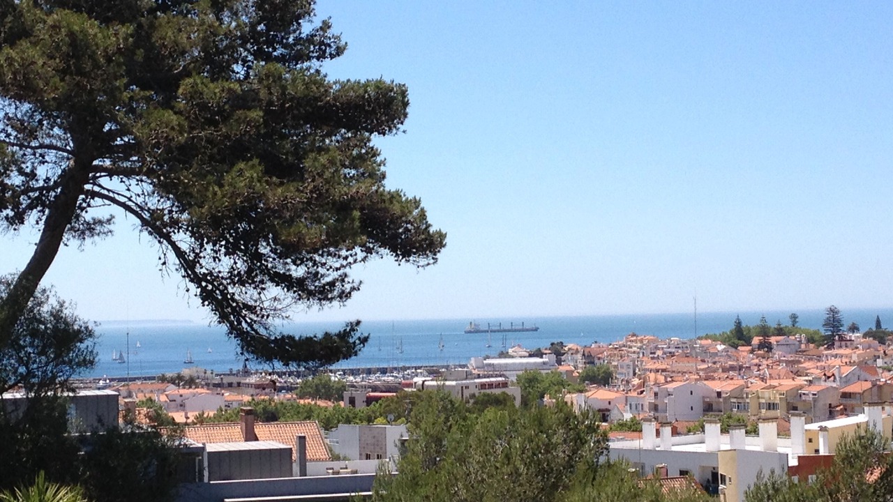 Photo of Others in Cascais