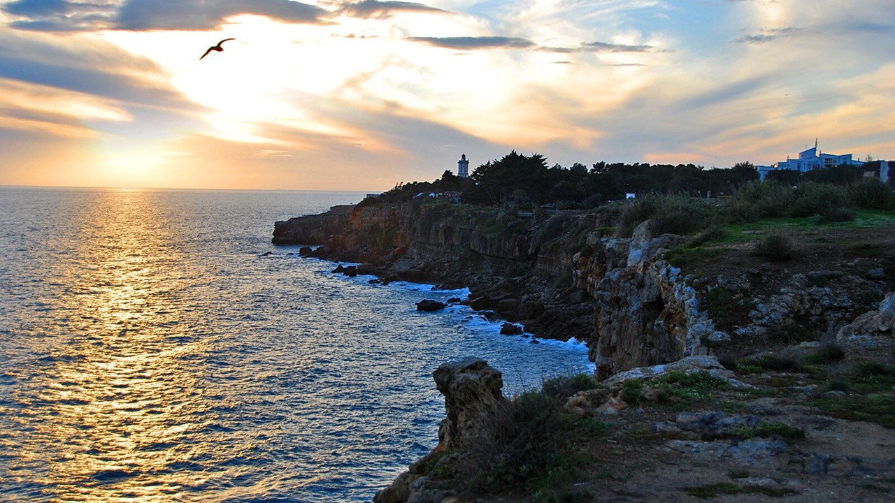 Photo of Others in Cascais