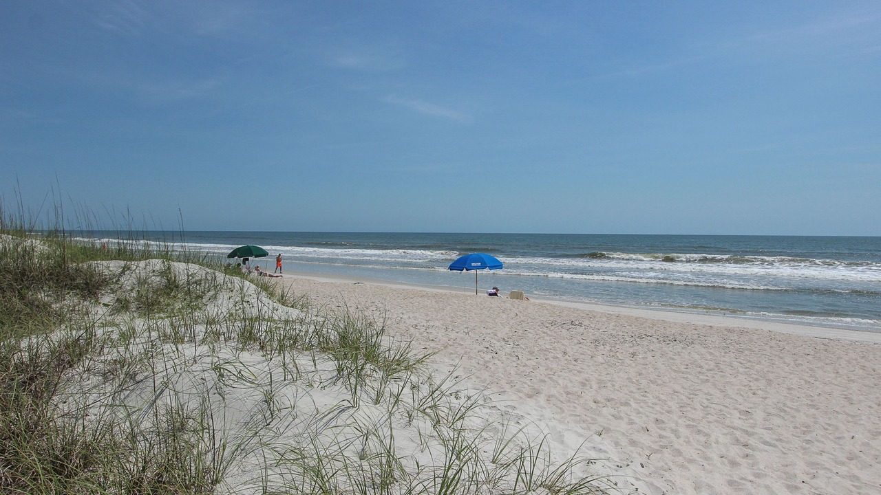 Photo of Others in Amelia City