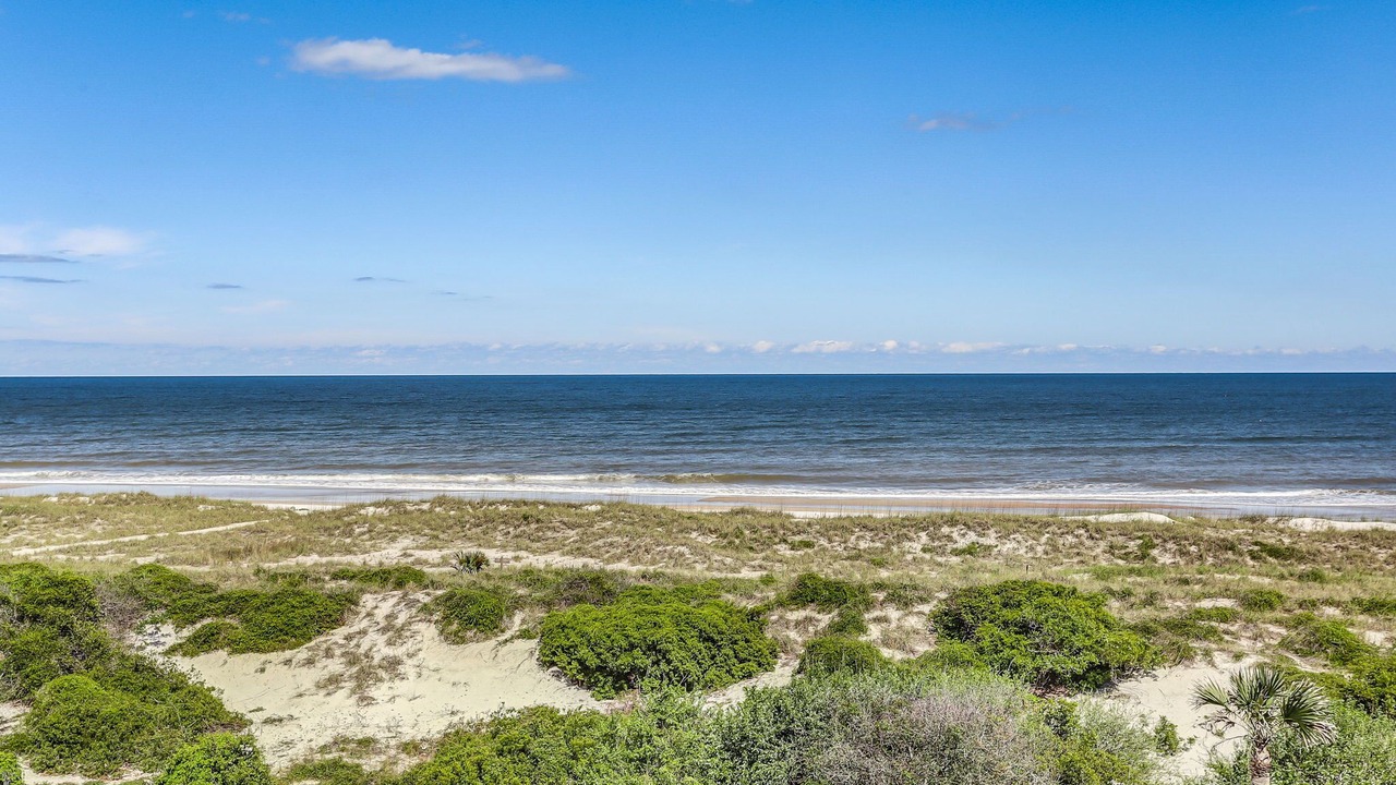 Photo of Others in Amelia City