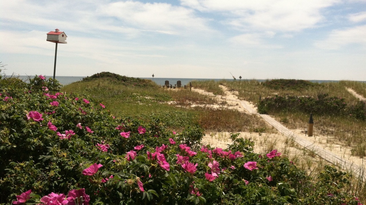 Photo of Others in North Truro