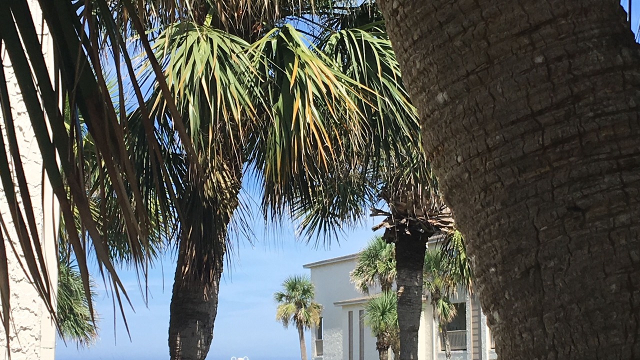 Photo of Patio Balcony in Crescent Beach