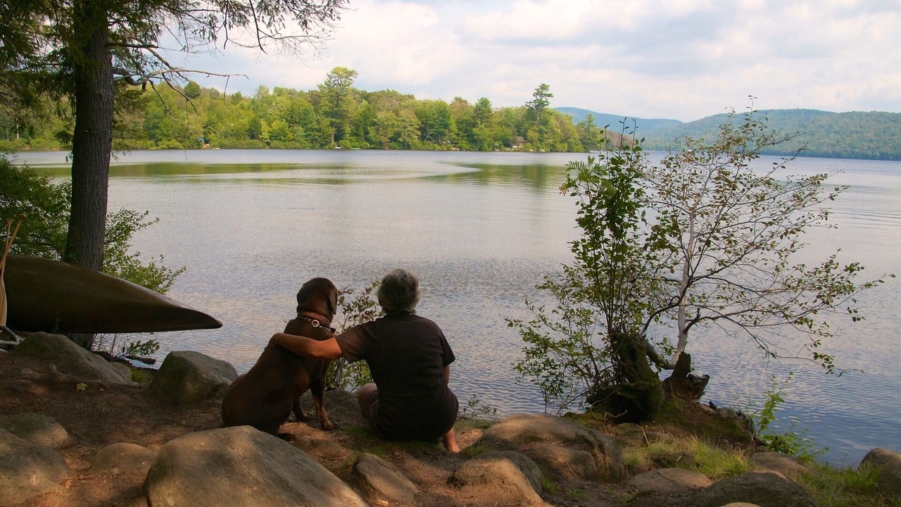 Photo of Outdoor in North River