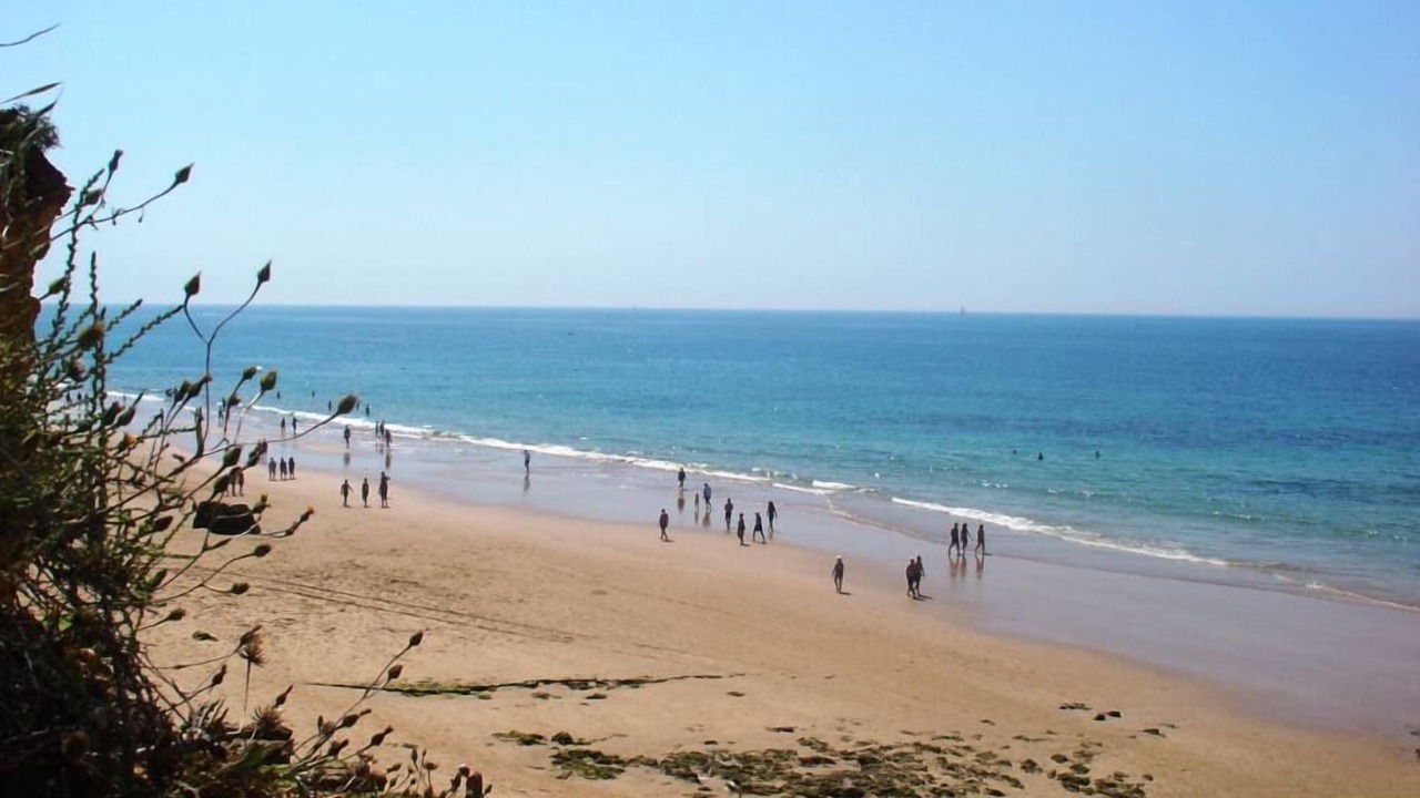 Photo of Others in Praia da Rocha