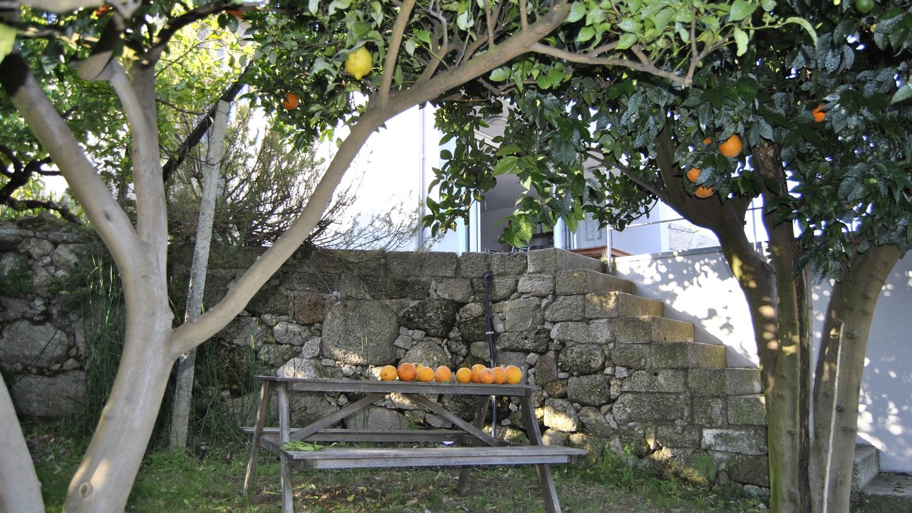 Photo of Outdoor in Sao Tome de Covelas