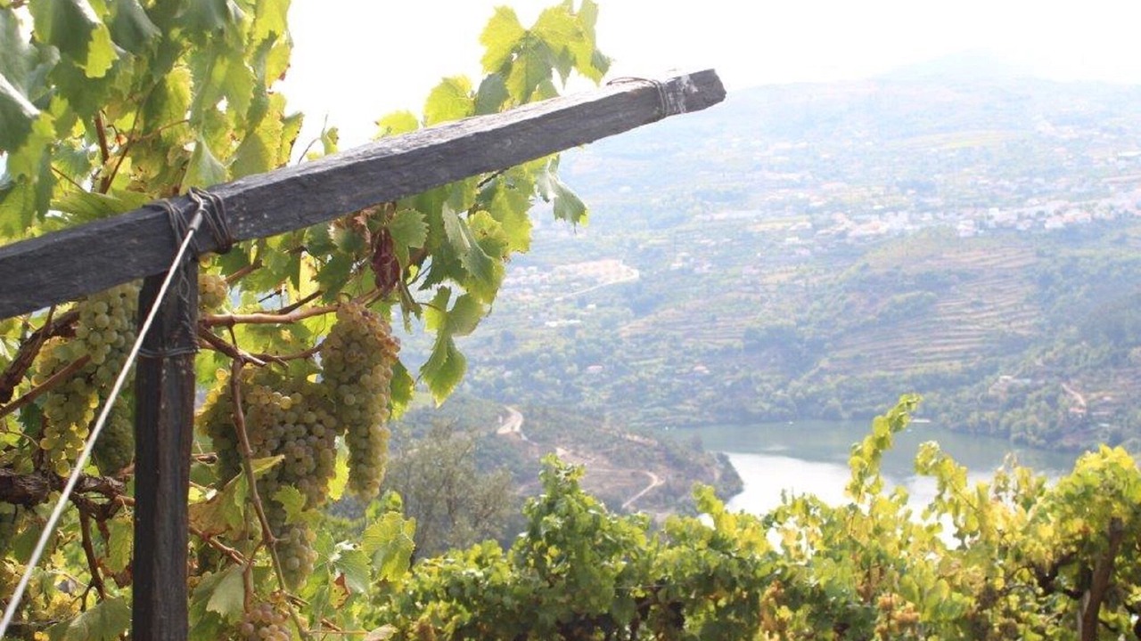 Photo of Outdoor in Sao Tome de Covelas