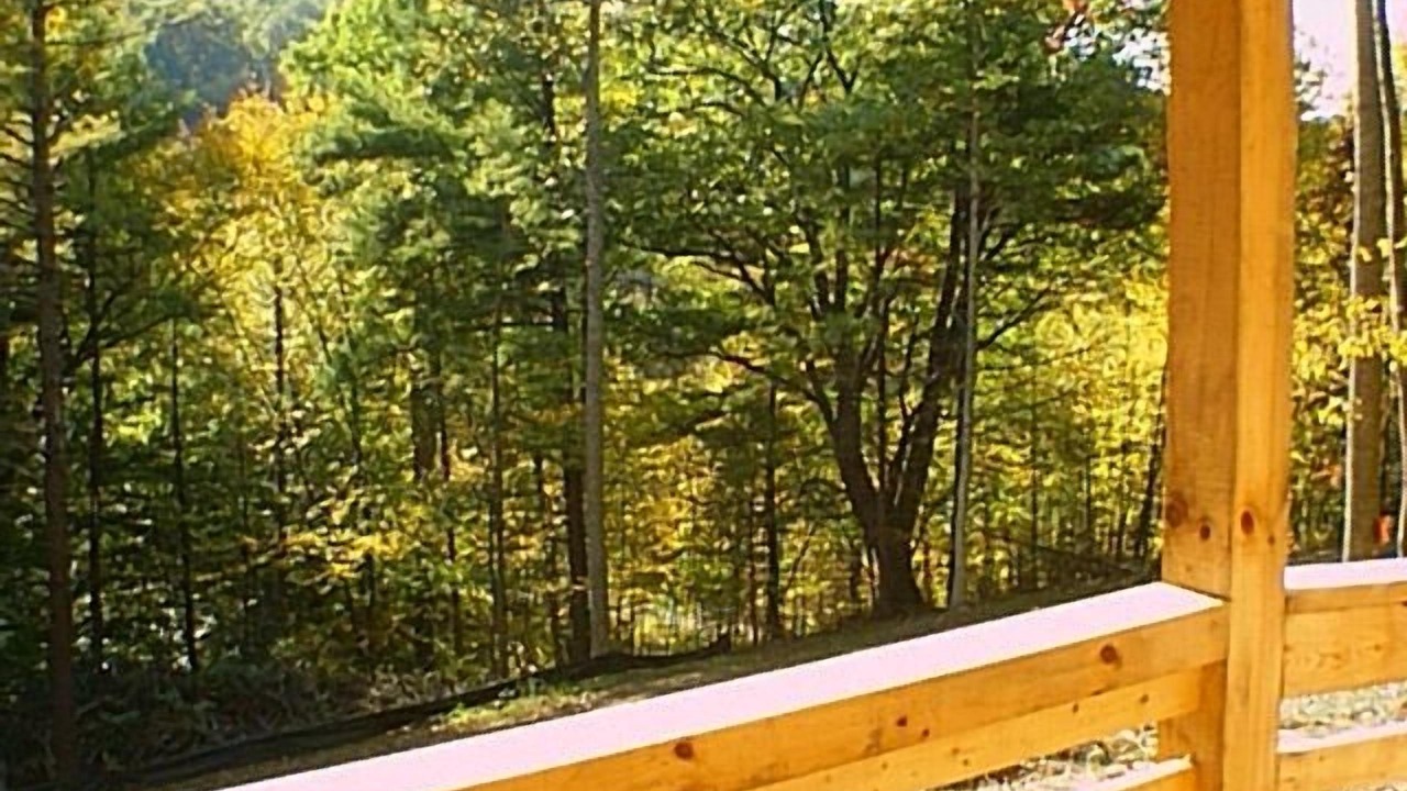 Photo of Outdoor in Stanley