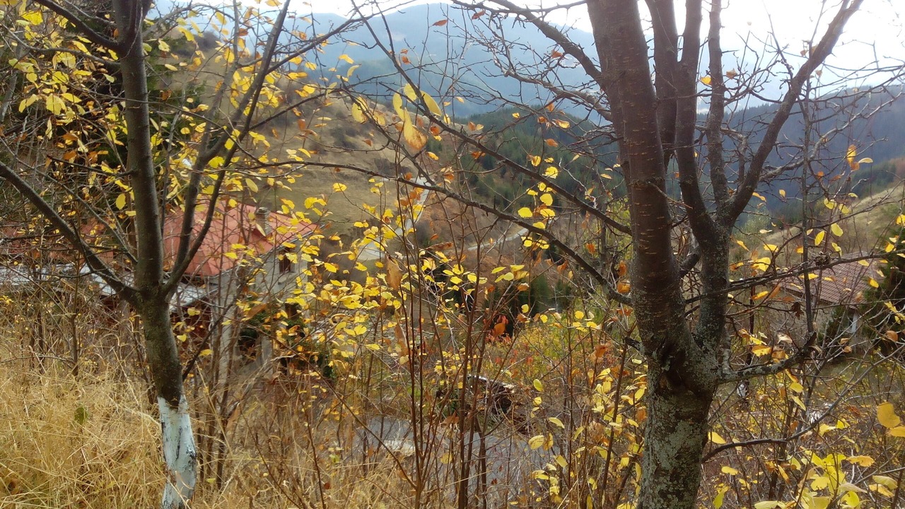 Photo of Outdoor in Chepelare