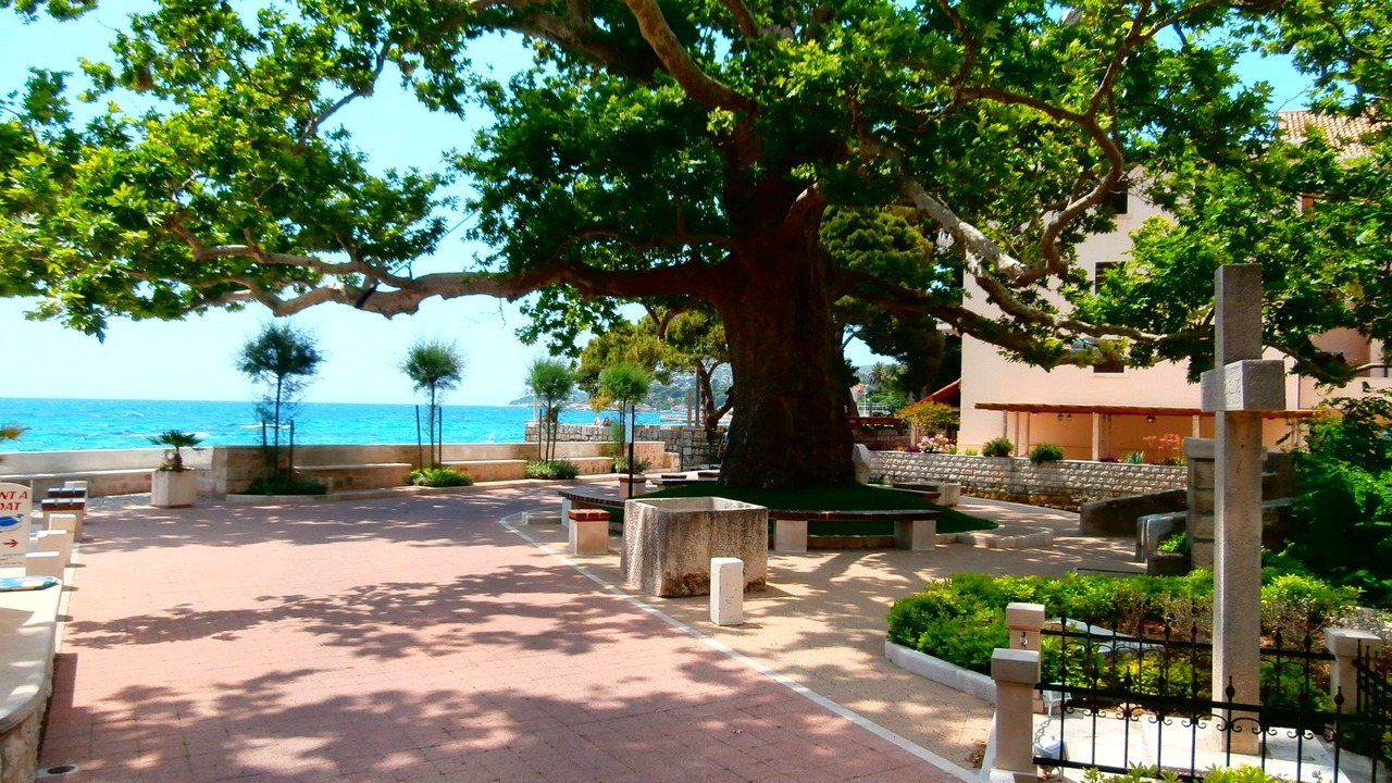 Photo of Outdoor in Mlini