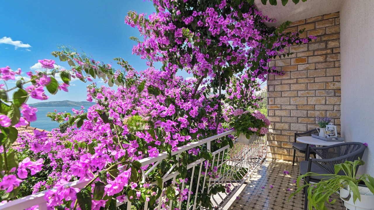 Photo of Outdoor in Trogir