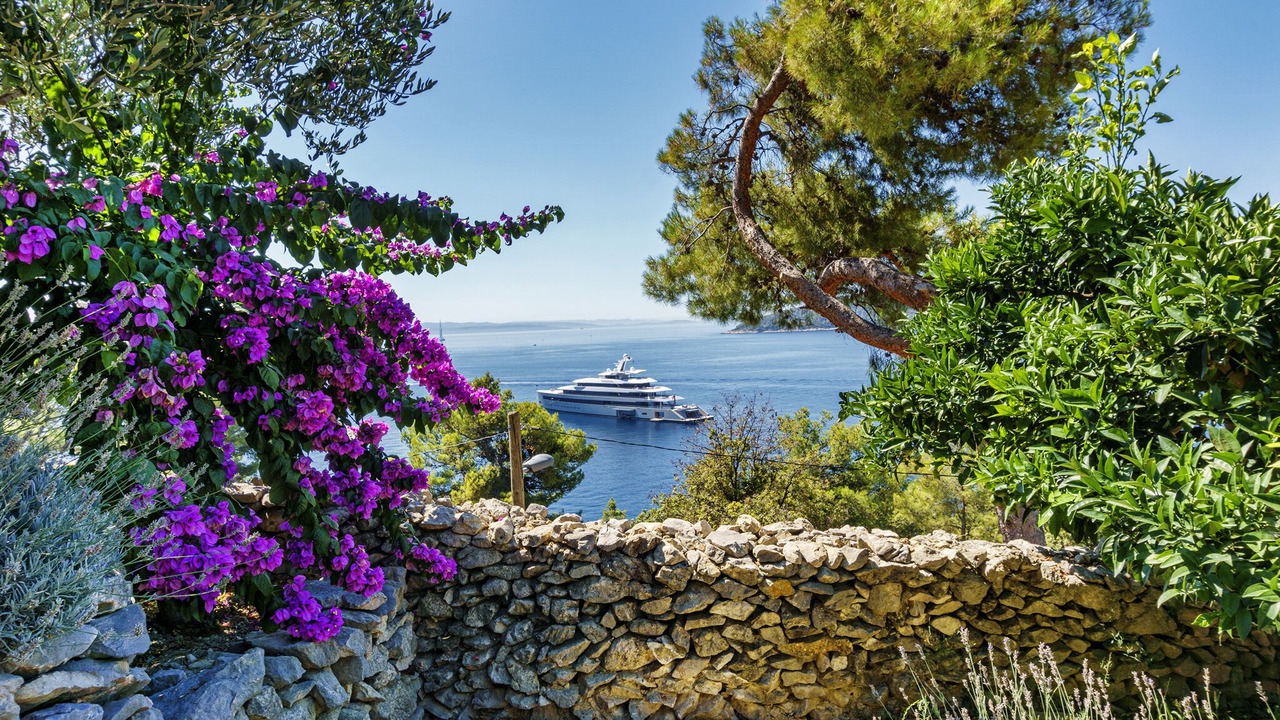 Photo of Others in Split