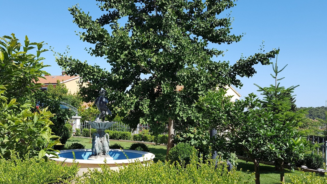 Photo of Outdoor in Banjole