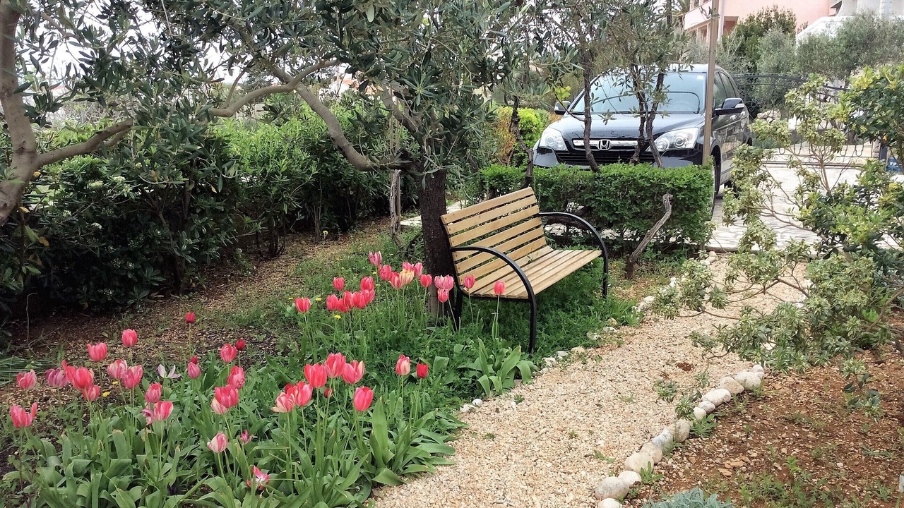 Photo of Outdoor in Barbat na Rabu