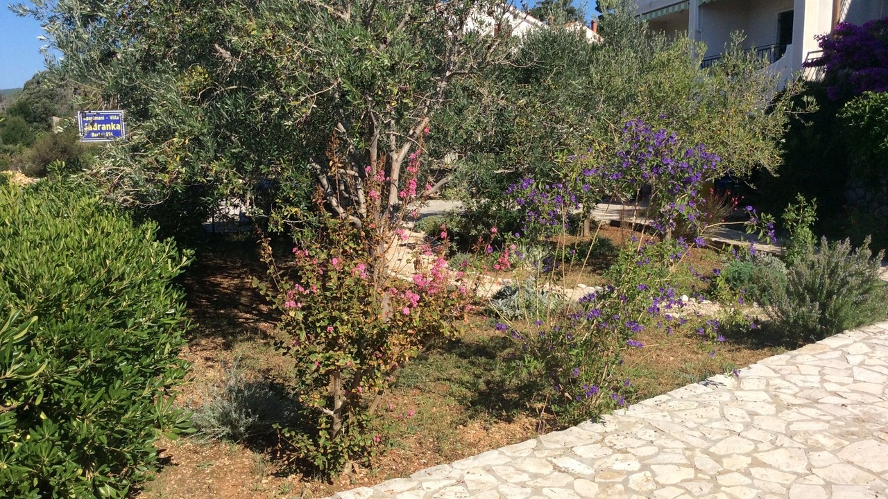Photo of Outdoor in Barbat na Rabu