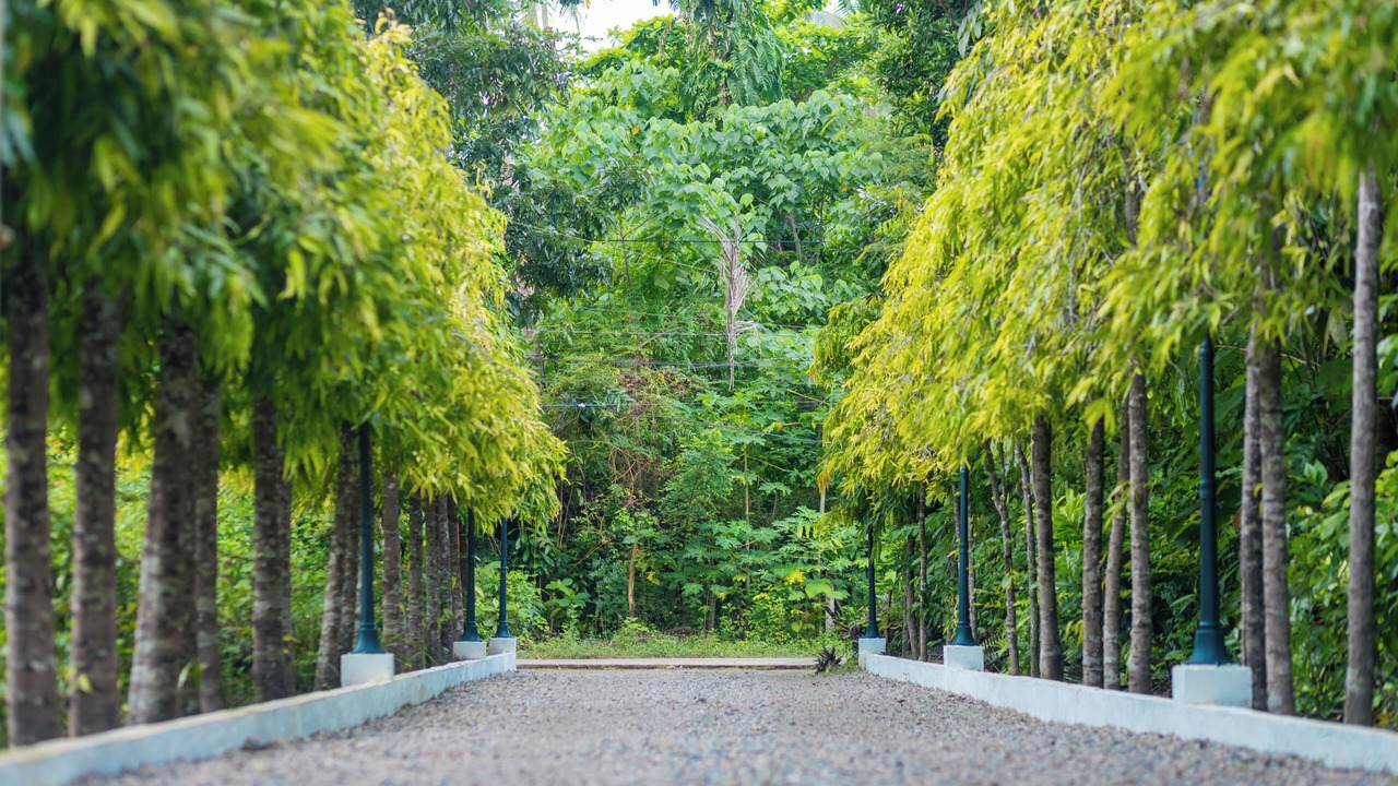 Photo of Outdoor in Looc