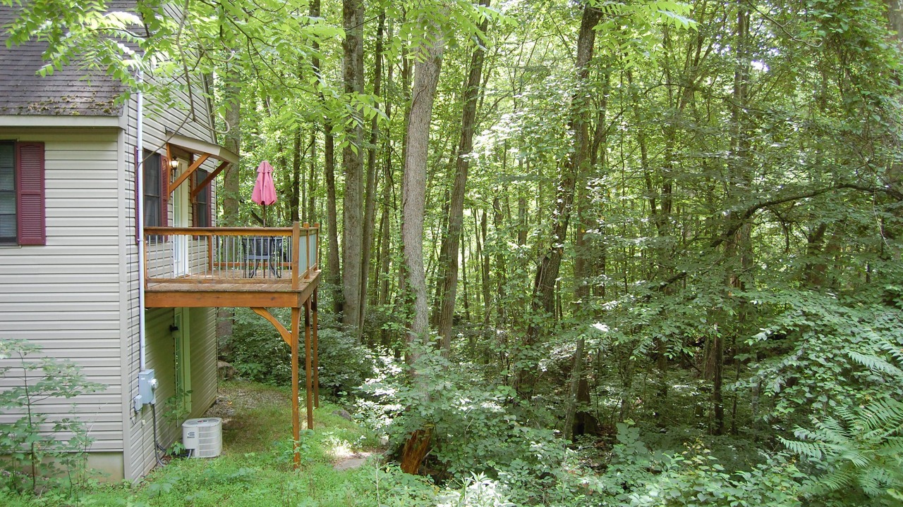 Photo of Outdoor in Tyro