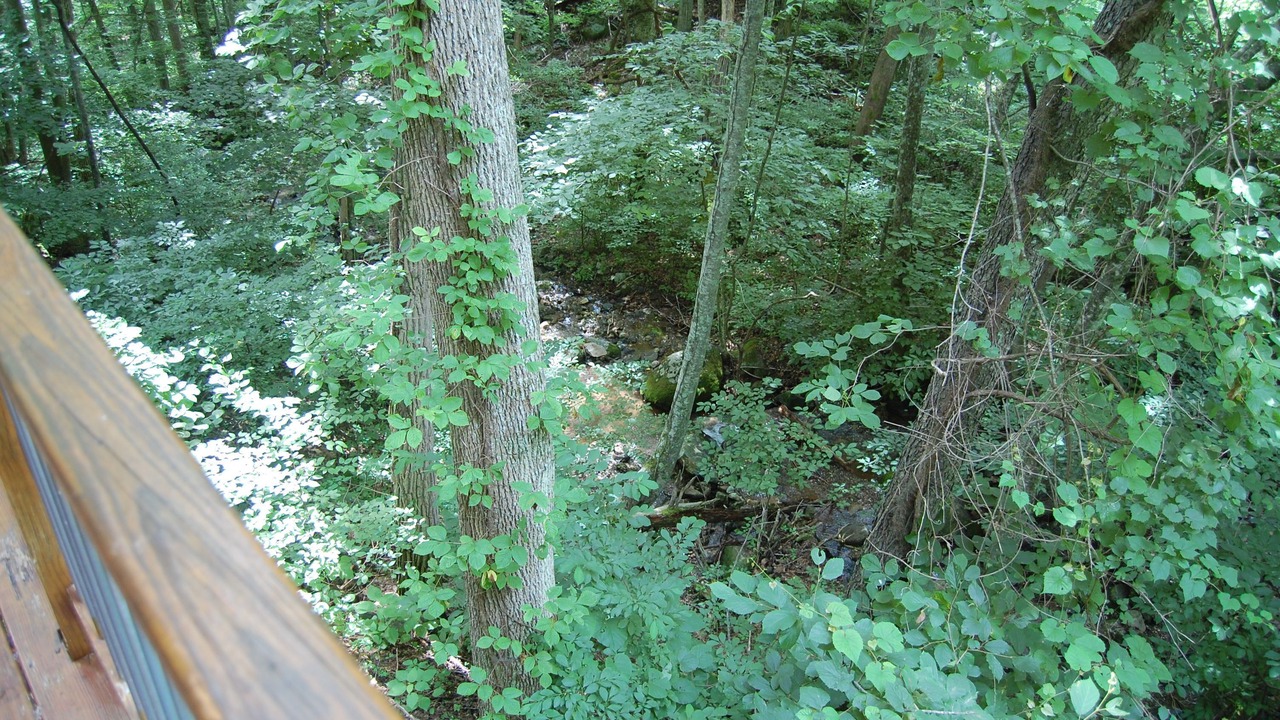 Photo of Outdoor in Tyro
