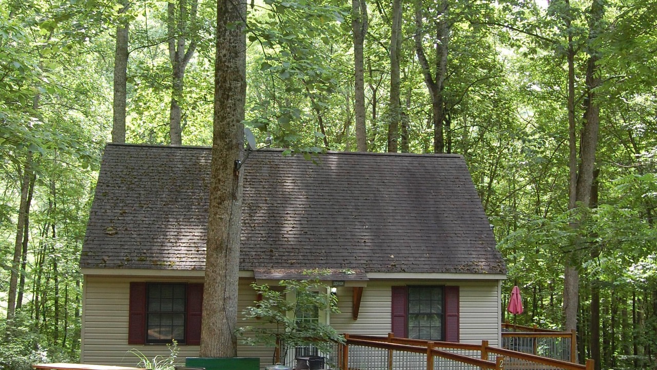 Photo of Outdoor in Tyro
