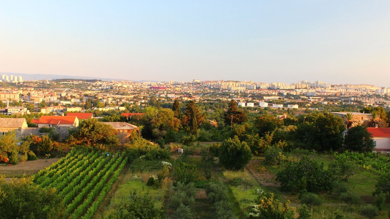 Photo of Others in Solin