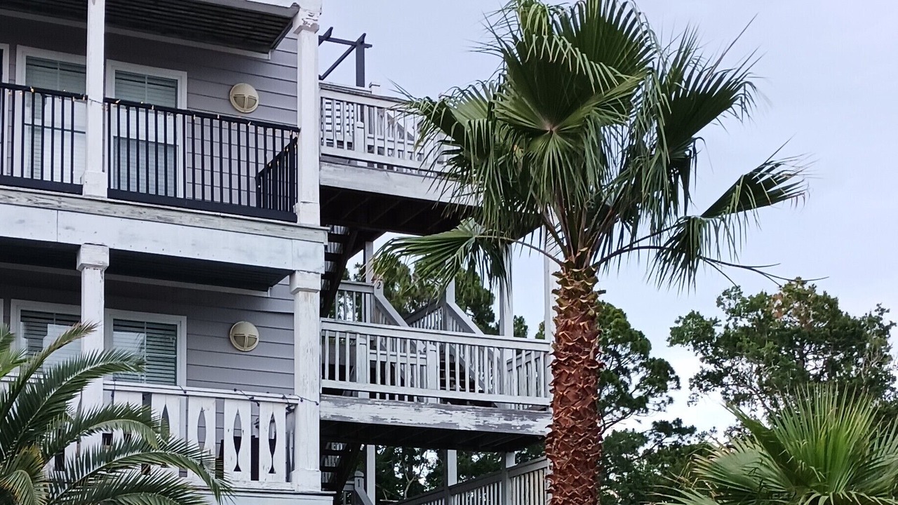 Photo of Outdoor in Apalachicola
