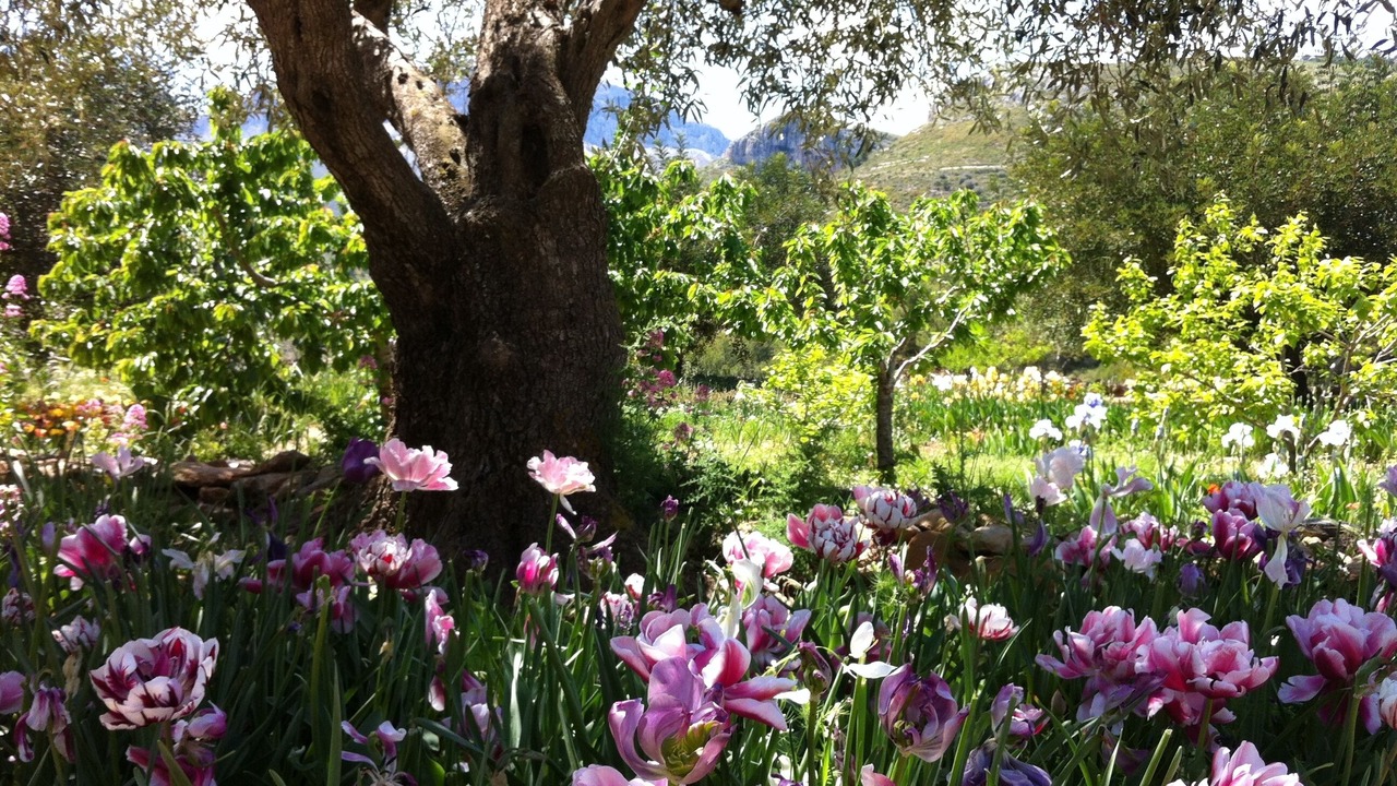 Photo of Outdoor in Vergel