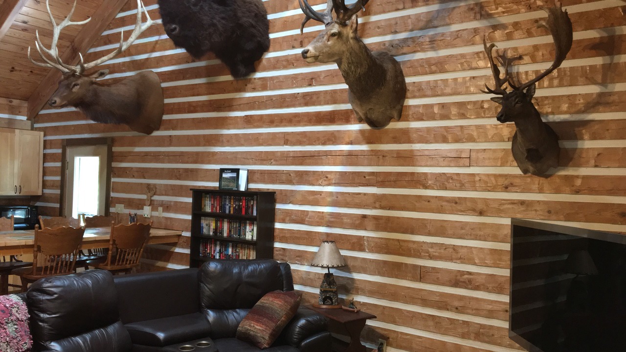 Photo of Livingroom in Ocklawaha