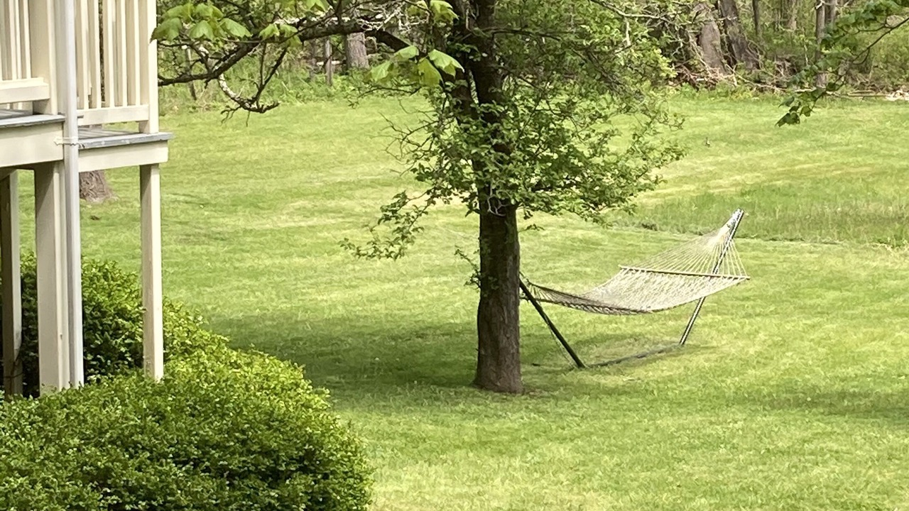 Photo of Outdoor in Warm Springs