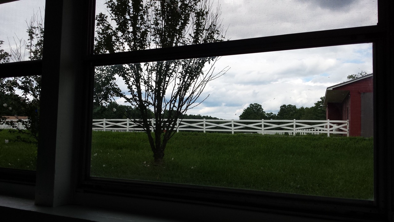 Photo of Others in Saugerties
