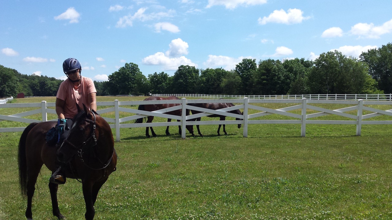 Photo of Others in Saugerties
