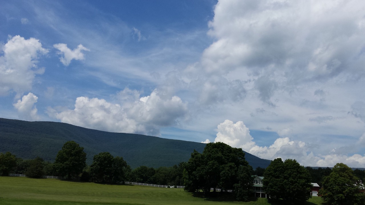 Photo of Others in Saugerties
