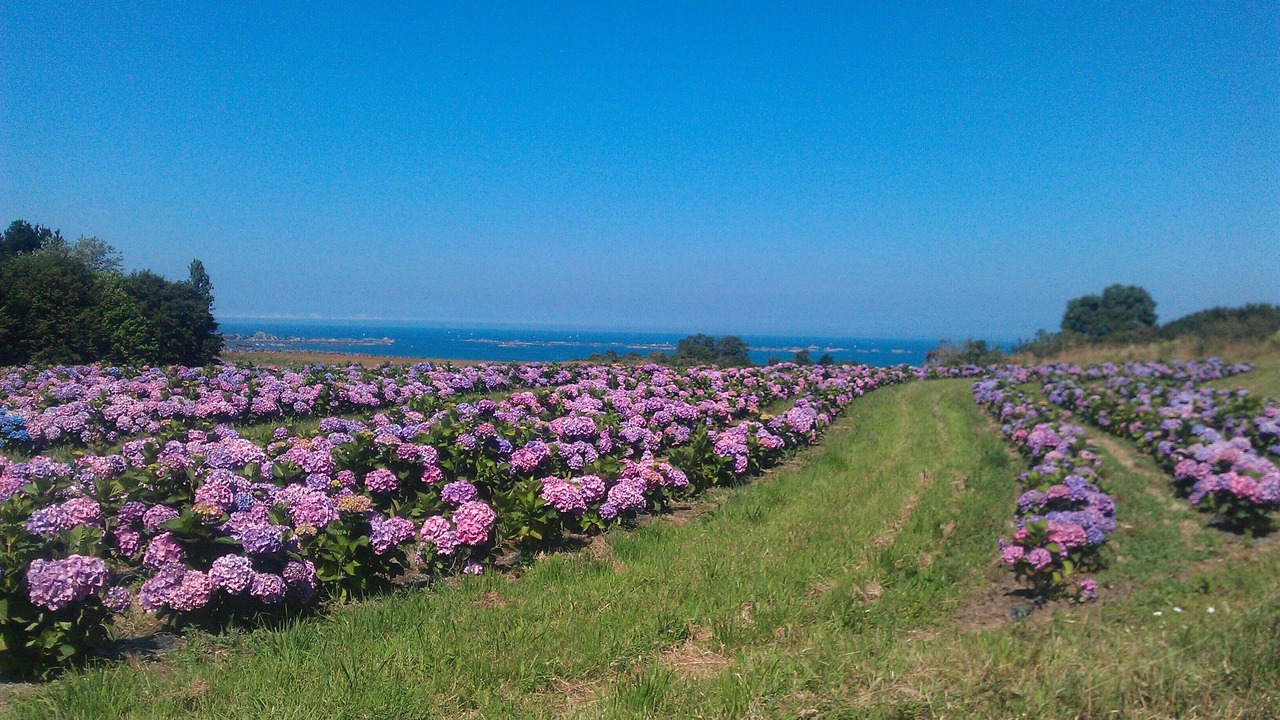 Photo of Outdoor in Loguivy