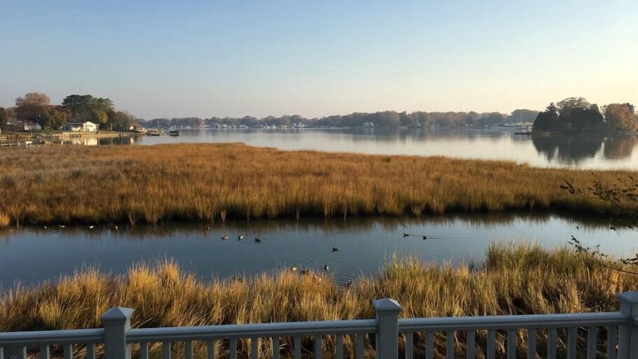 Photo of Others in Colonial Beach